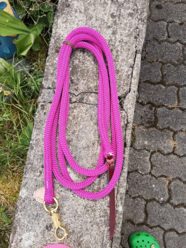 Brockamp Lead Rope Profi-Trainer-Qualität 3,70m 13 mm Polyester mit Drehkippkarabiner – Bild 5