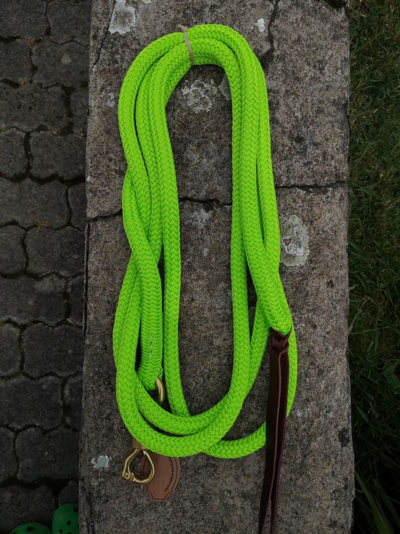 Brockamp Lead Rope Profi-Trainer-Qualität 3,70m 13 mm Polyester mit Drehkippkarabiner