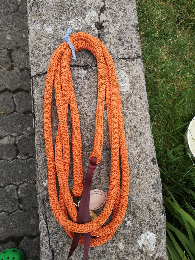 Brockamp Lead Rope Profi-Trainer-Qualität 3,70m 13 mm Polyester mit Drehkippkarabiner – Bild 6