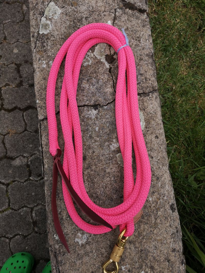 Brockamp Lead Rope Profi-Trainer-Qualität 3,70m 13 mm Polyester mit Drehkippkarabiner – Bild 3