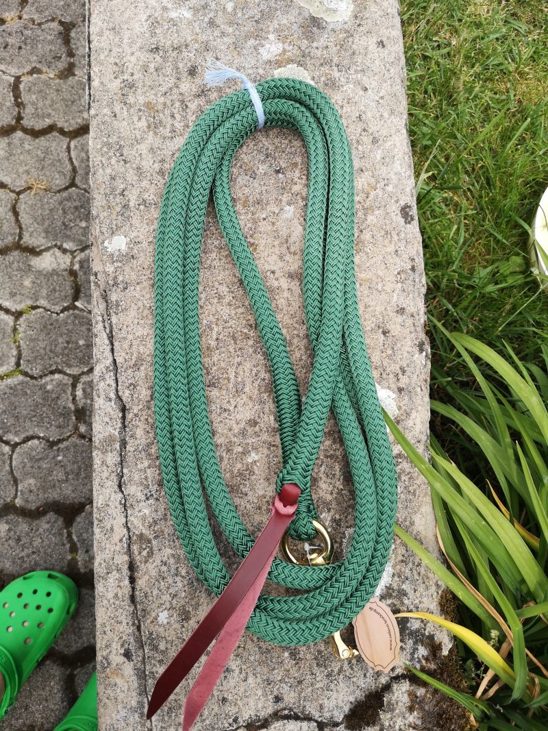 Brockamp Lead Rope Profi-Trainer-Qualität 3,70m 13 mm Polyester mit Drehkippkarabiner – Bild 7