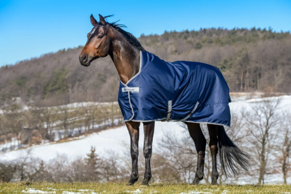 Bucas -Freedom Turnout light- mit Highneck