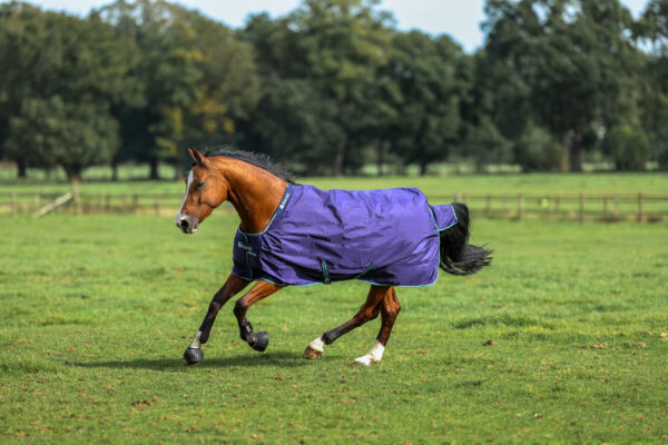 Bucas Turnoutdecke -Smartex Rain-