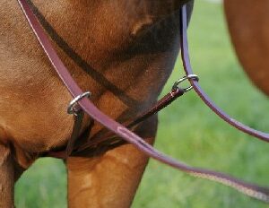 sonstiges Zubehör Western