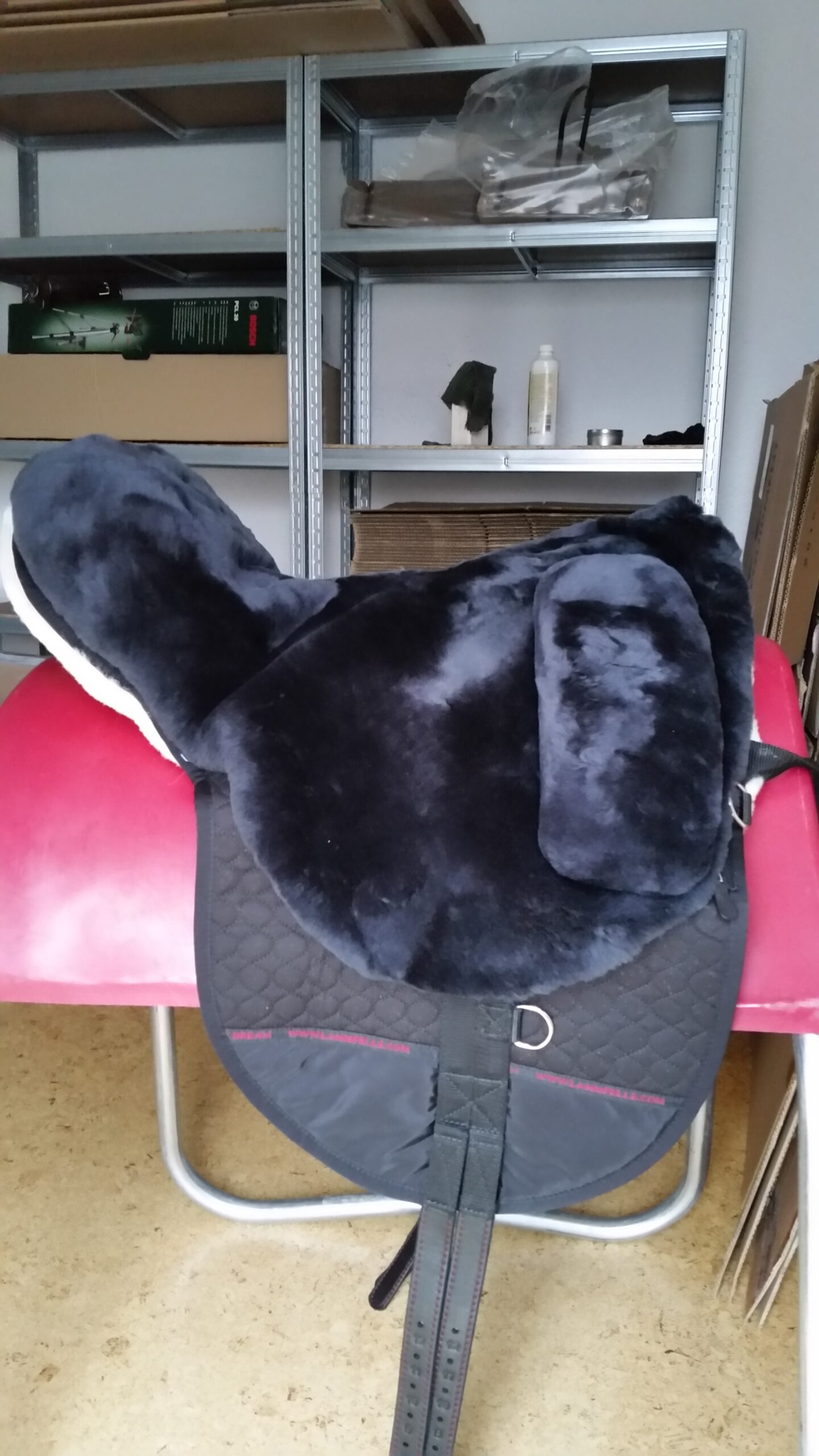 Christ -Premium Plus XH-